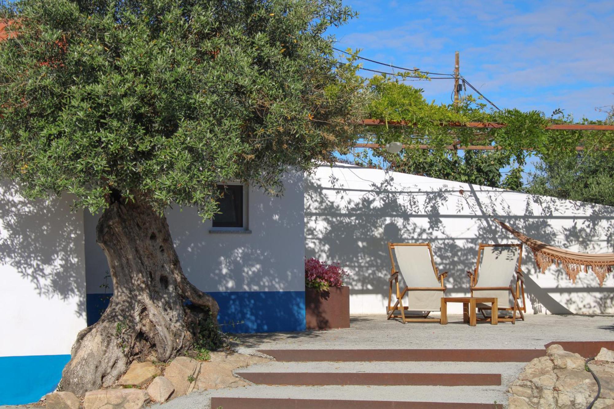 Villa Sao Bras Do Regedouro - Turismo Na Aldeia Évora Exterior foto