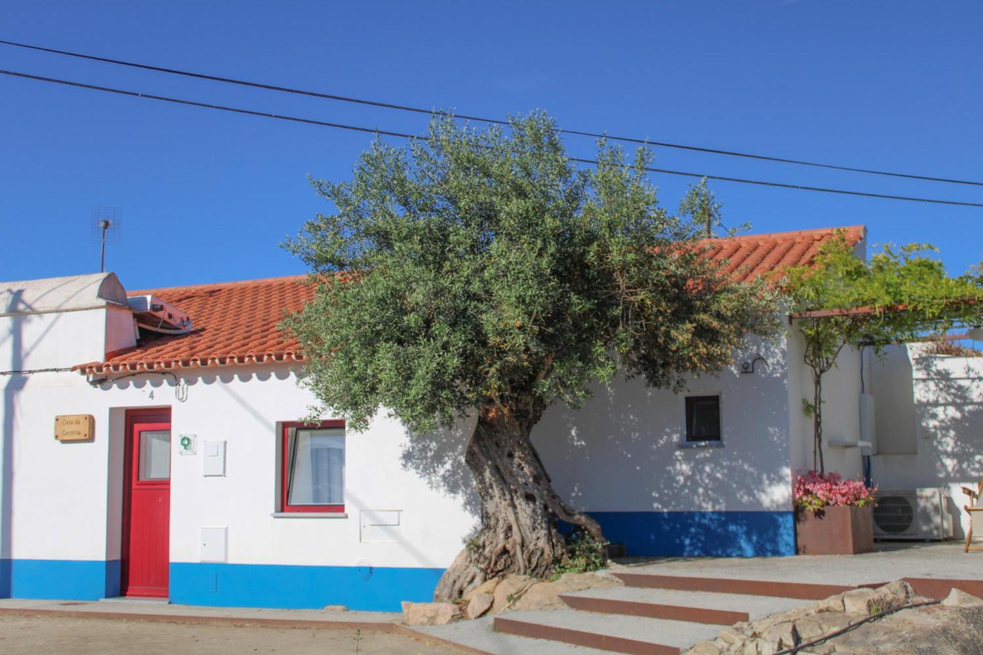 Villa Sao Bras Do Regedouro - Turismo Na Aldeia Évora Exterior foto